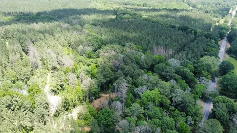 2 Mt Zion Rd, Magee, MS 39111 photo 27