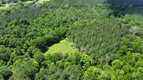 2 Mt Zion Rd, Magee, MS 39111 photo 21