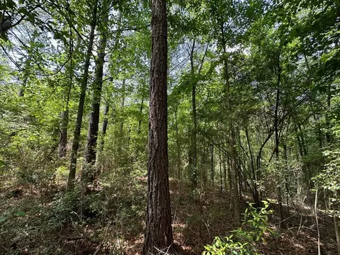2 Mt Zion Rd, Magee, MS 39111 photo 10