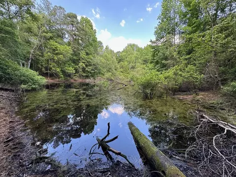2 Mt Zion Rd, Magee, MS 39111 photo 11