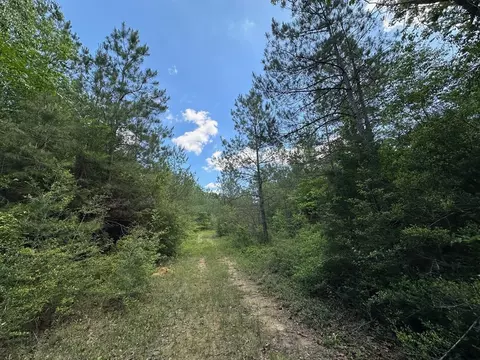 2 Mt Zion Rd, Magee, MS 39111 photo 13