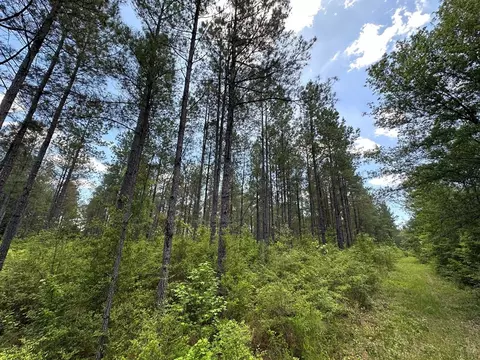 2 Mt Zion Rd, Magee, MS 39111 photo 15
