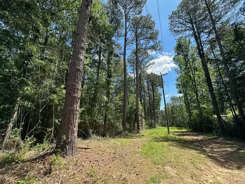 2 Mt Zion Rd, Magee, MS 39111 photo 2