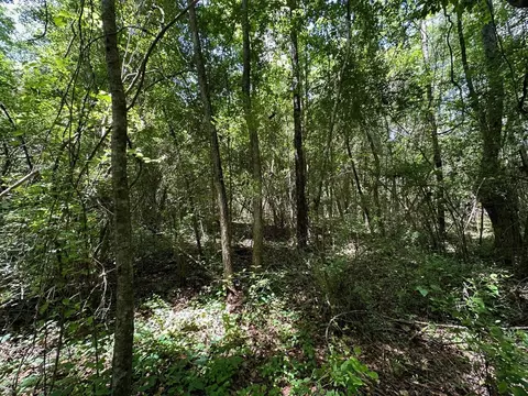 2 Mt Zion Rd, Magee, MS 39111 photo 7
