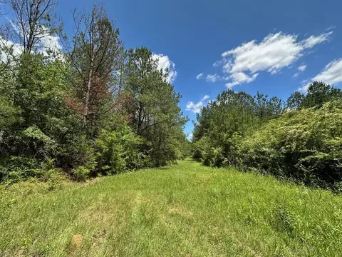 2 Mt Zion Rd, Magee, MS 39111 photo 9