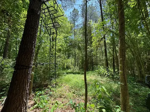 3 Mt Zion Rd, Magee, MS 39111 photo 5