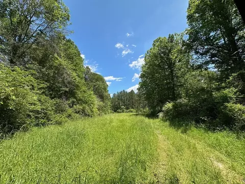 3 Mt Zion Rd, Magee, MS 39111 photo 3