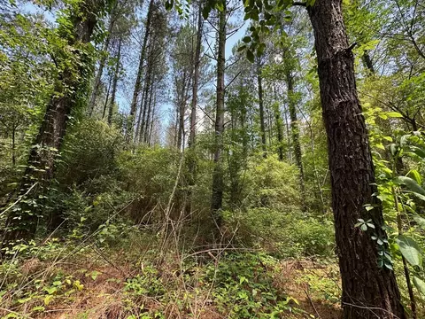 3 Mt Zion Rd, Magee, MS 39111 photo 11