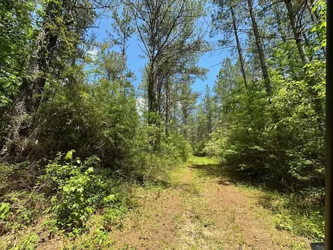 3 Mt Zion Rd, Magee, MS 39111 photo 2