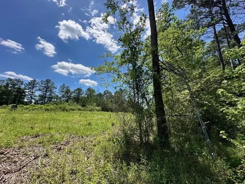 3 Mt Zion Rd, Magee, MS 39111 photo 15