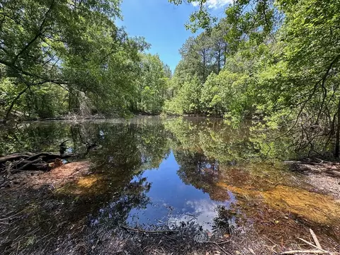 3 Mt Zion Rd, Magee, MS 39111 photo 4