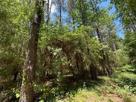 3 Mt Zion Rd, Magee, MS 39111 photo 6