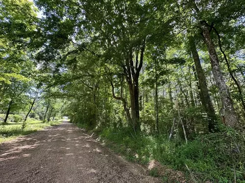 3 Mt Zion Rd, Magee, MS 39111 photo 17