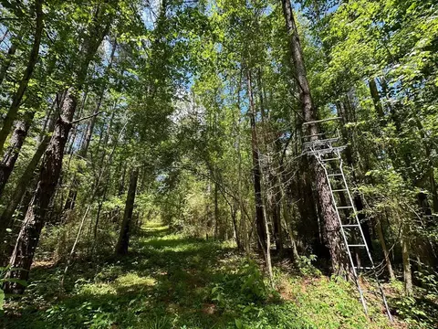 3 Mt Zion Rd, Magee, MS 39111