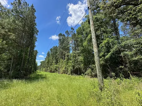 3 Mt Zion Rd, Magee, MS 39111 photo 14