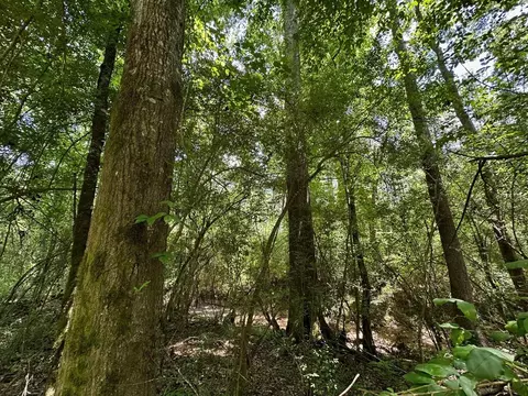 3 Mt Zion Rd, Magee, MS 39111 photo 9