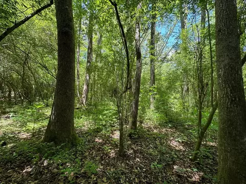 3 Mt Zion Rd, Magee, MS 39111 photo 10
