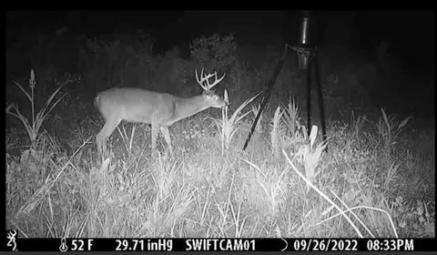 tbd Erwin Rd, Stonewall, MS 39363 photo 41