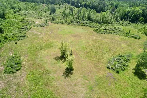 tbd Erwin Rd, Stonewall, MS 39363 photo 9