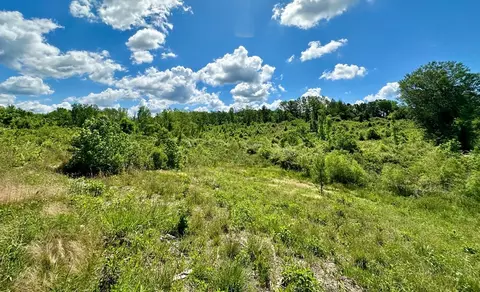 tbd Erwin Rd, Stonewall, MS 39363 photo 16