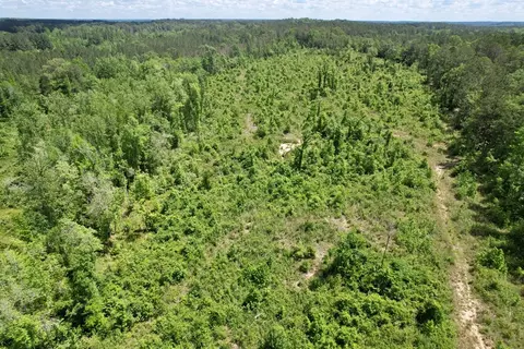 tbd Erwin Rd, Stonewall, MS 39363 photo 24