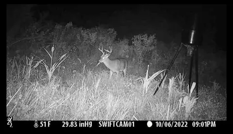 tbd Erwin Rd, Stonewall, MS 39363 photo 40