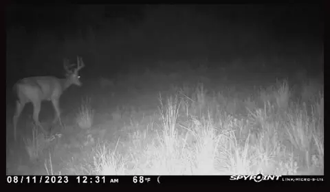 tbd Erwin Rd, Stonewall, MS 39363 photo 34