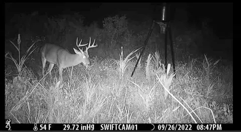 tbd Erwin Rd, Stonewall, MS 39363 photo 36