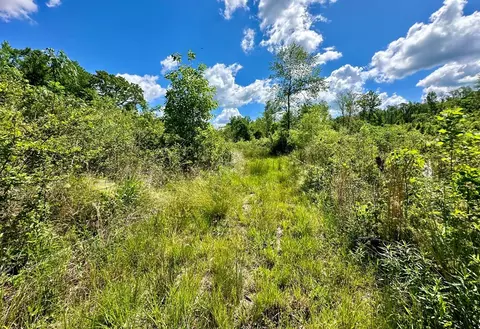 tbd Erwin Rd, Stonewall, MS 39363 photo 18