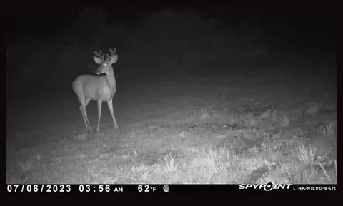 tbd Erwin Rd, Stonewall, MS 39363 photo 35