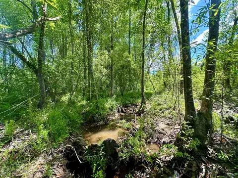tbd Erwin Rd, Stonewall, MS 39363 photo 20