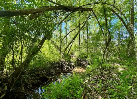 tbd Erwin Rd, Stonewall, MS 39363 photo 21