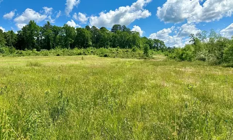 tbd Erwin Rd, Stonewall, MS 39363 photo 11