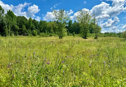 tbd Erwin Rd, Stonewall, MS 39363 photo 7