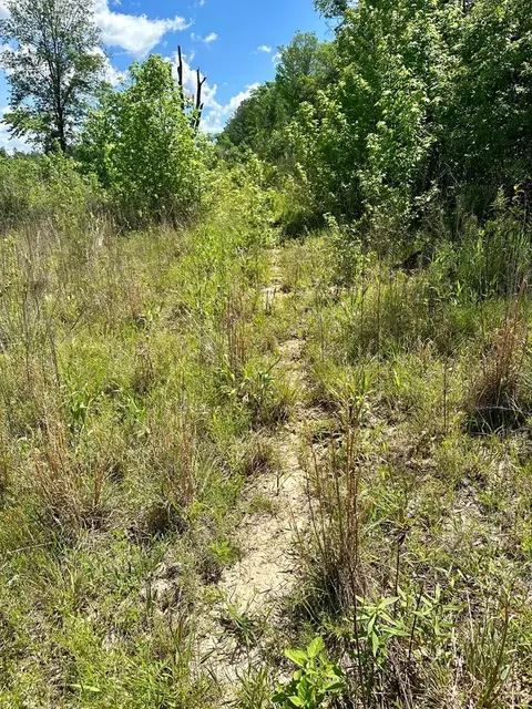 tbd Erwin Rd, Stonewall, MS 39363 photo 19
