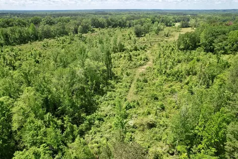 tbd Erwin Rd, Stonewall, MS 39363 photo 26