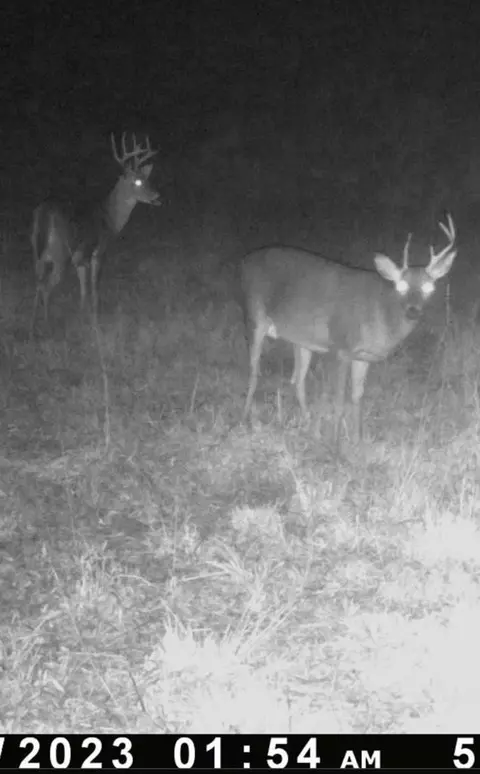 tbd Erwin Rd, Stonewall, MS 39363 photo 37