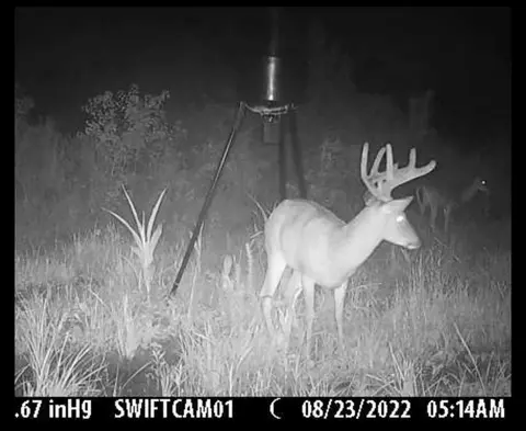 tbd Erwin Rd, Stonewall, MS 39363 photo 39