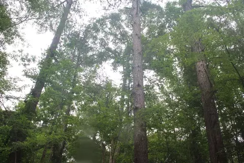 0000 Lee Dr SE, Bogue Chitto, MS 39629 photo 3