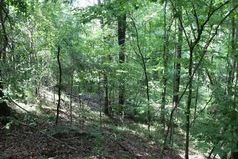0000 Lee Dr SE, Bogue Chitto, MS 39629 photo 12