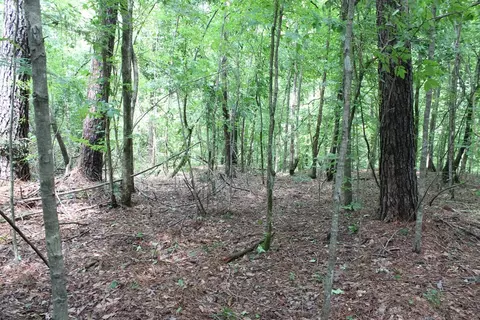 0000 Lee Dr SE, Bogue Chitto, MS 39629 photo 10