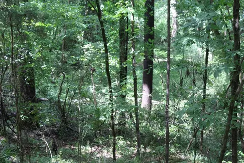 0000 Lee Dr SE, Bogue Chitto, MS 39629 photo 6