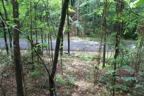 0000 Lee Dr SE, Bogue Chitto, MS 39629 photo 9