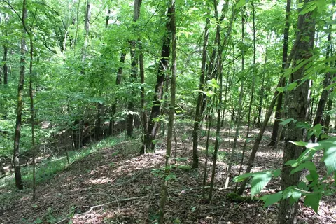0000 Lee Dr SE, Bogue Chitto, MS 39629 photo 13