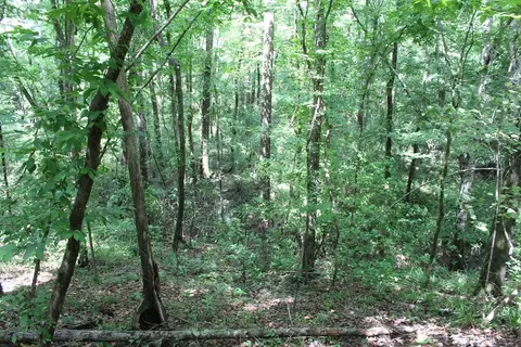 0000 Lee Dr SE, Bogue Chitto, MS 39629 photo 11