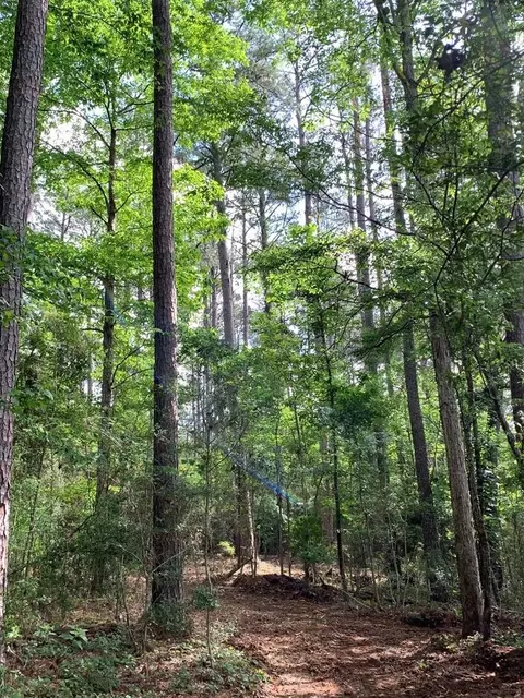 lot3 Chatawa Rd, Magnolia, MS 39652