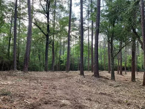 lot2 Chatawa Rd, Magnolia, MS 39652