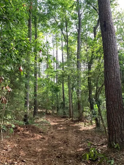 lot1 Chatawa Rd, Magnolia, MS 39652