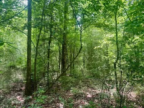 000 Jessie Stogner Rd, Sandy Hook, MS 39478 photo 22