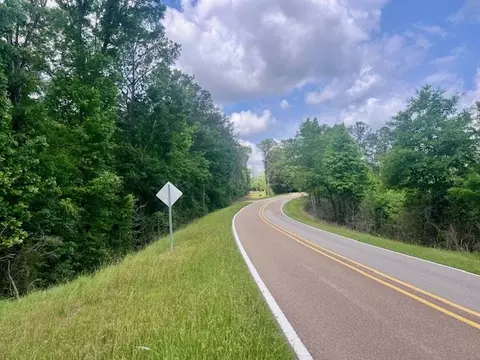 000 Jessie Stogner Rd, Sandy Hook, MS 39478 photo 30